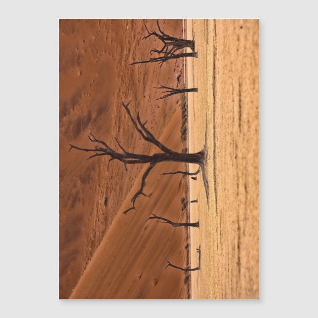 Dead Vlei, Namibia (Front)