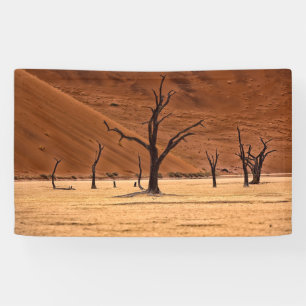 Dead Vlei, Namibia Banner