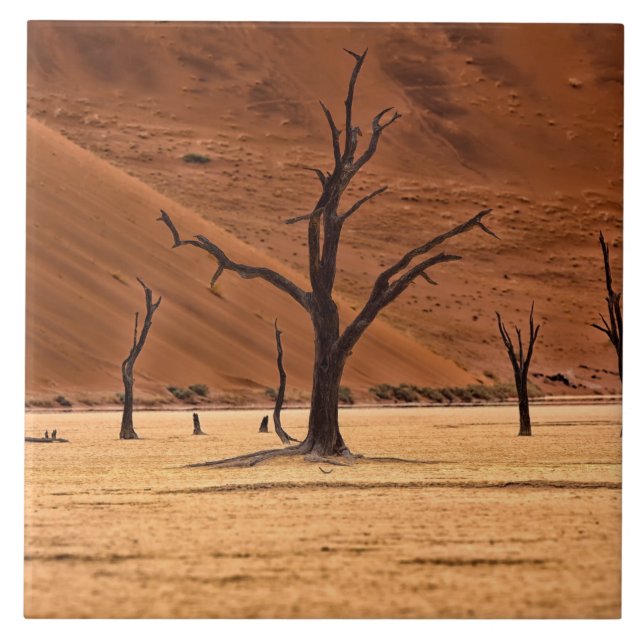 Dead Vlei, Namibia Ceramic Tile (Front)