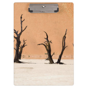Dead Vlei, Namibia Clipboard
