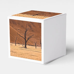 Dead Vlei, Namibia Favour Box