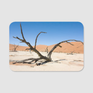 Dead Vlei, Namibia Name Tag