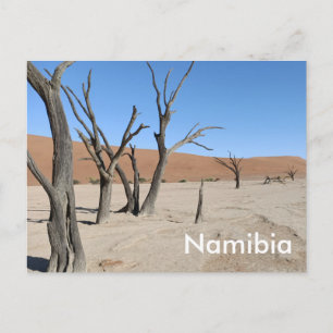 Dead Vlei, Namibia Postcard