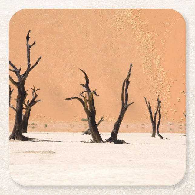 Dead Vlei, Namibia Square Paper Coaster (Front)