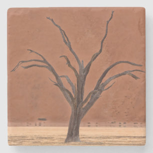 Dead Vlei, Namibia Stone Coaster