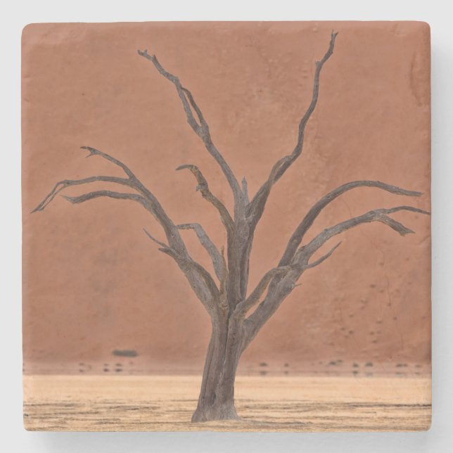 Dead Vlei, Namibia Stone Coaster (Front)