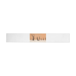 Dead Vlei, Namibia Wrap Around Label