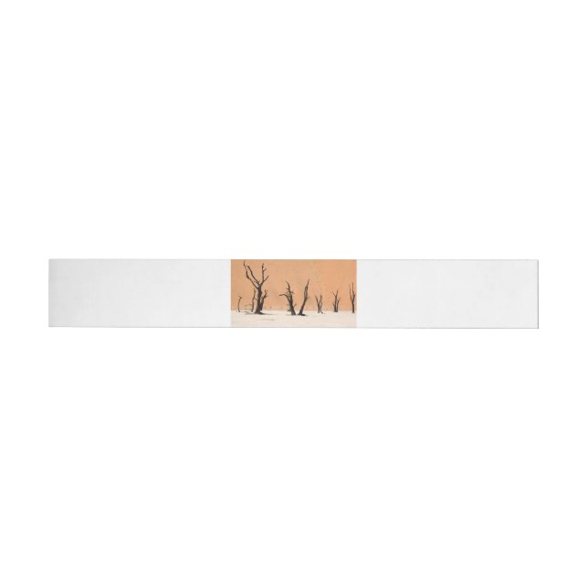 Dead Vlei, Namibia Wrap Around Label (Individual)