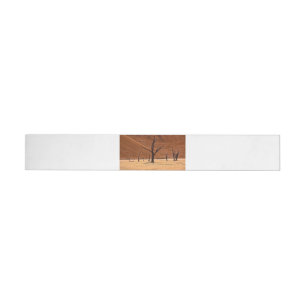 Dead Vlei, Namibia Wraparound Address Label