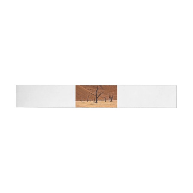 Dead Vlei, Namibia Wraparound Address Label (Individual)