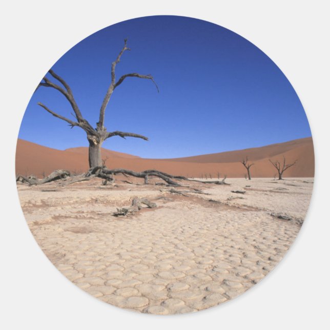 Dead Vlei, Sossusvlei, Namib-Naukluft National Classic Round Sticker (Front)