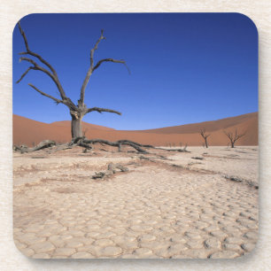 Dead Vlei, Sossusvlei, Namib-Naukluft National Coaster