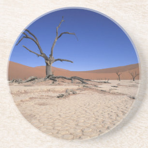 Dead Vlei, Sossusvlei, Namib-Naukluft National Coaster