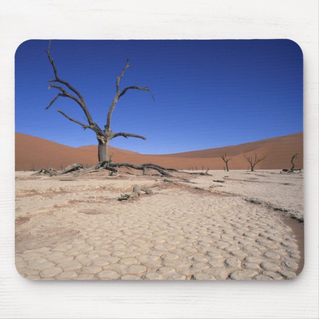 Dead Vlei, Sossusvlei, Namib-Naukluft National Mouse Pad (Front)