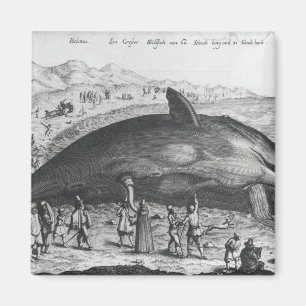 Dead whale magnet