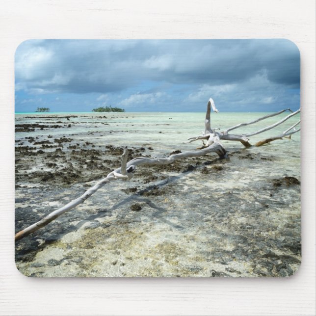 Dead wood in the Pacific mousepad (Front)
