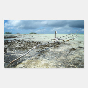 Dead wood in the Pacific rectangular sticker