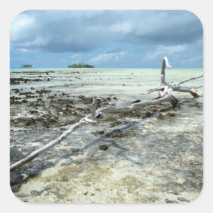 Dead wood in the Pacific sticker