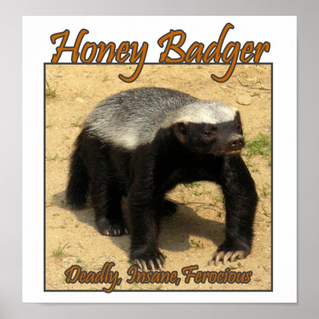 Deadly, Insane, Ferocious Honey Badger Print (Front)