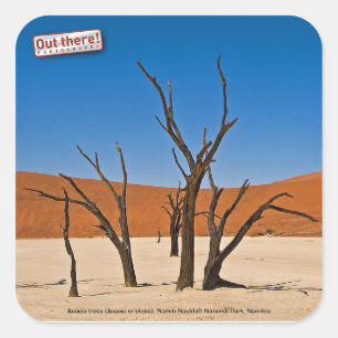 Deadvlei Square Sticker