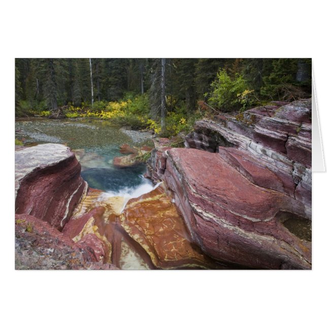 Deadwood Falls on Reynolds Creek in autumn in (Front Horizontal)
