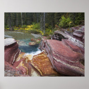 Deadwood Falls on Reynolds Creek in autumn in Poster