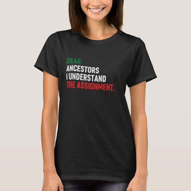 Dear Ancestors I Understand The Assignment T-Shirt (Front)