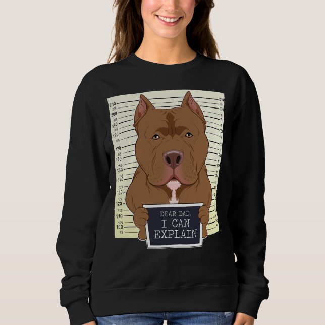 Dear Dad I Can Explain I Pitbull Dad I Pitbull Sweatshirt (Front)