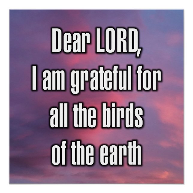 Dear LORD, I am grateful for all the birds... Poster (Front)