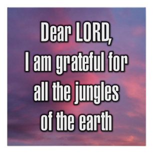 Dear LORD, I am grateful for all the... Poster