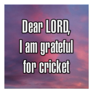 Dear LORD, I am grateful for cricket Poster