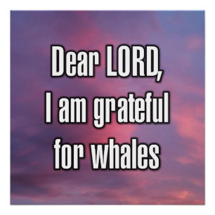 Dear LORD, I am grateful for whales Poster