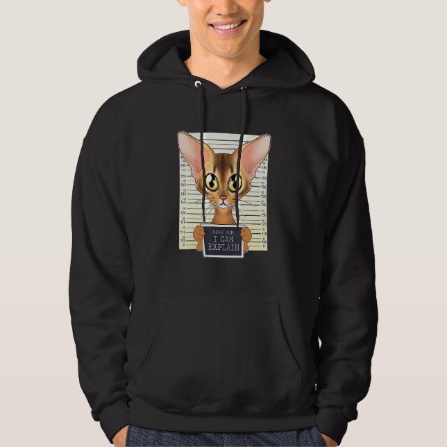Dear Mum I Can Explain I Abyssinian Cat Mum I Abys Hoodie (Front)