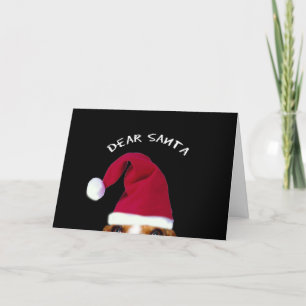 Dear Sant, I can explain...... Holiday Card