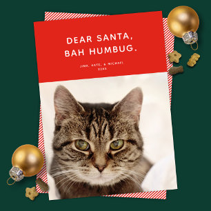 Dear Santa, Bah Humbug. Funny Holiday Photo Card