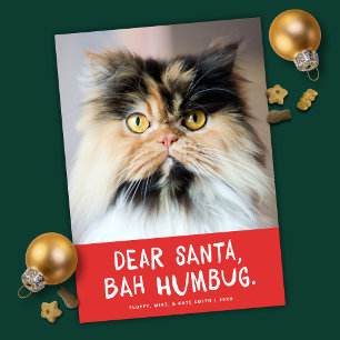 Dear Santa Bah Humbug Funny Pet Photo Holiday Card