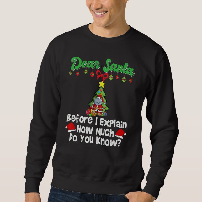 Dear Santa Before I Explain How Much Do You Know_1 Sweatshirt (Front)