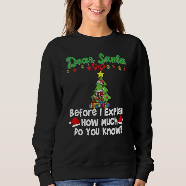 Dear Santa Before I Explain How Much Do You Know_6 Sweatshirt (Front)
