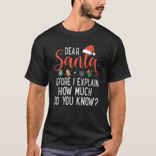 Dear Santa Before I Explain How Much Do You Know C T-Shirt
