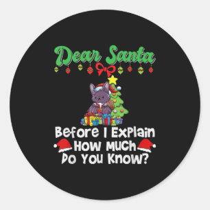 Dear Santa Before I Explain How Much Do You Know  Classic Round Sticker