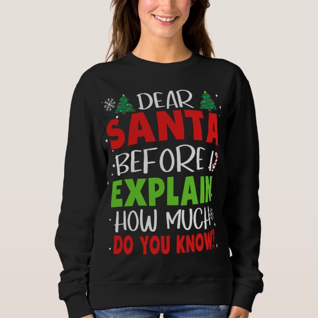 Dear Santa Before I Explain How Much Do You Know F Sweatshirt (Front)