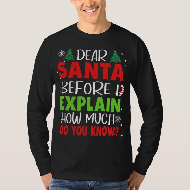 Dear Santa Before I Explain How Much Do You Know F T-Shirt (Front)
