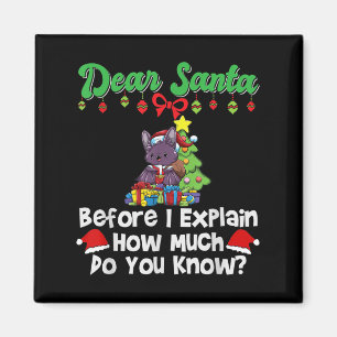 Dear Santa Before I Explain How Much Do You Know Magnet