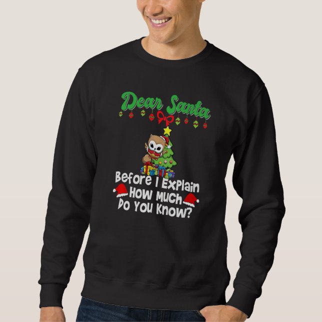 Dear Santa Before I Explain How Much Do You Know P Sweatshirt (Front)