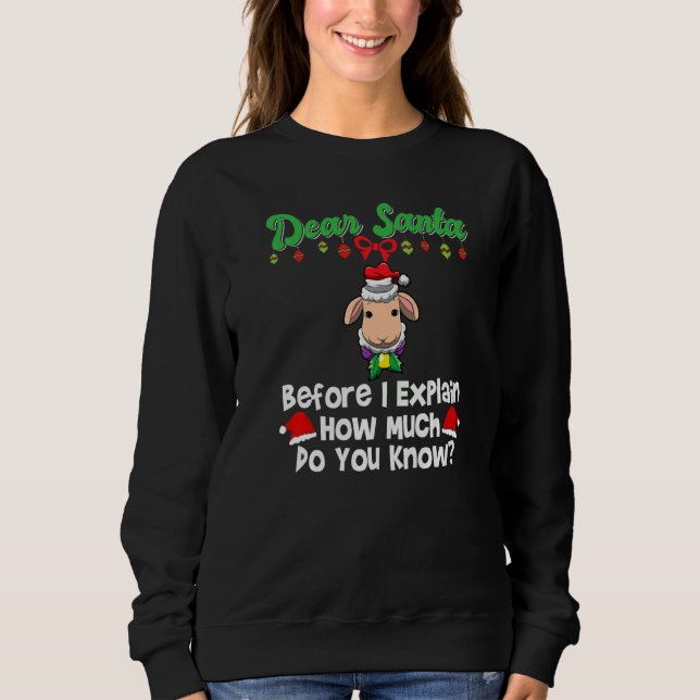 Dear Santa Before I Explain How Much Do You Know P Sweatshirt (Front)