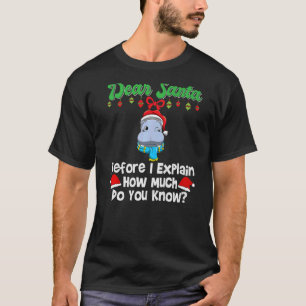 Dear Santa Before I Explain How Much Do You Know P T-Shirt