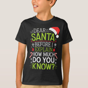 Dear Santa Before I Explain How Much Do You Know S T-Shirt