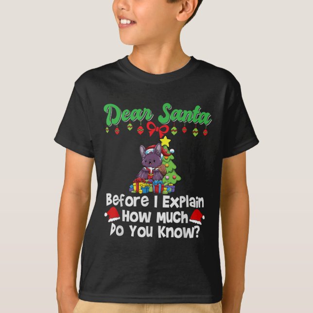Dear Santa Before I Explain How Much Do You Know  T-Shirt (Front)