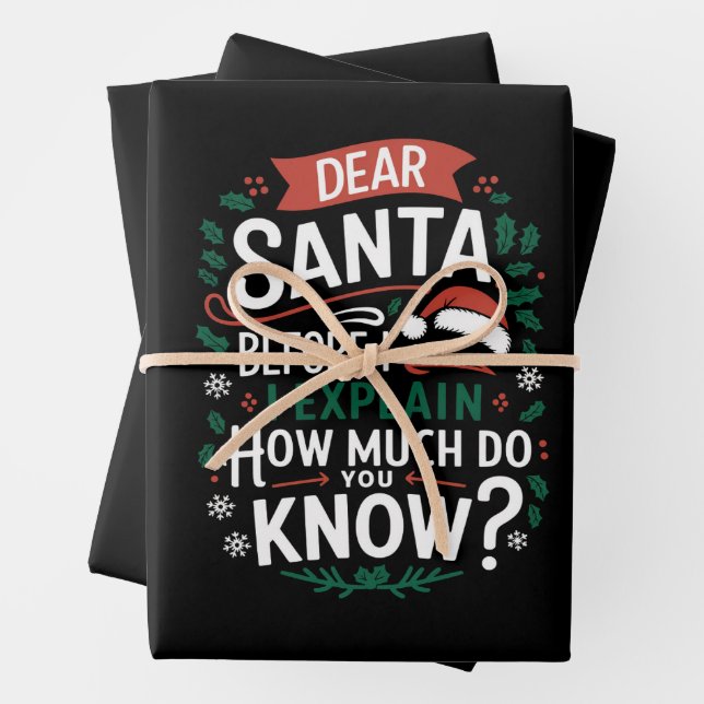 Dear Santa Before I Explain How Much Do You Know Wrapping Paper Sheet (In situ)