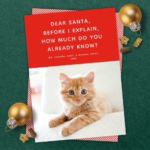 Dear Santa Cute Funny Pet Holiday Photo Card
